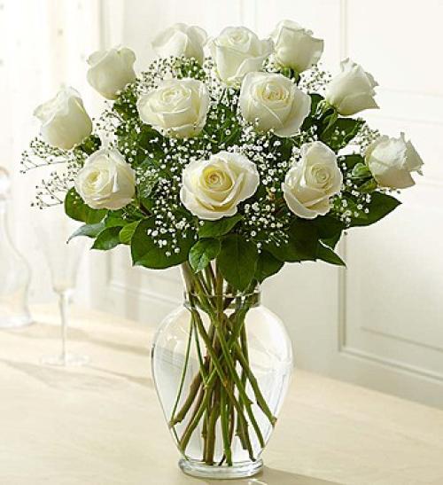 Rose Elegance White Roses