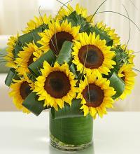 Sun-Sational Sunflowers