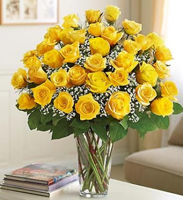 Ultimate Elegance Yellow Roses