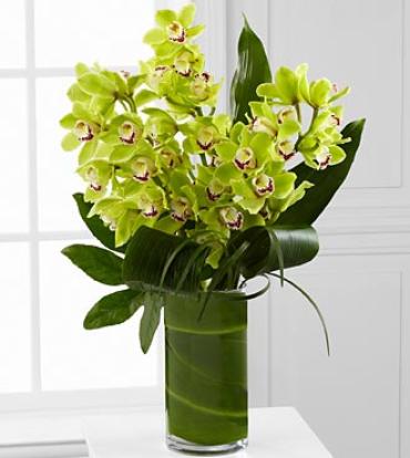 Vision Luxury Orchid Bouquet - 8 Stems