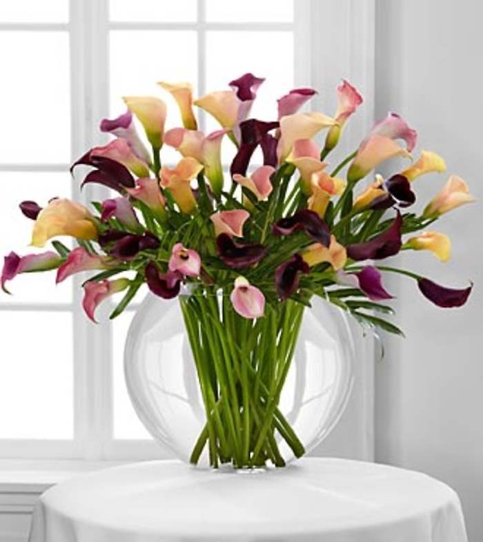 Flawless Luxury Calla Lily Bouquet - 45 Stems