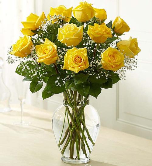 Rose Elegance Yellow Roses