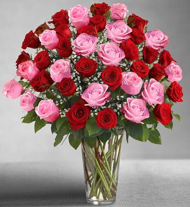 Ultimate Elegance Long Stem Pink And Red  Roses