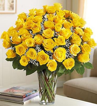 Ultimate Elegance Yellow Roses